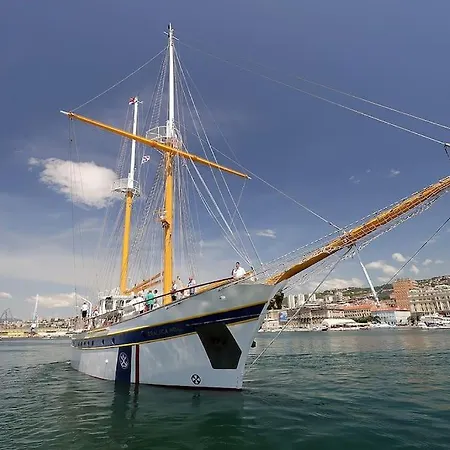 Centrally Located Seagull