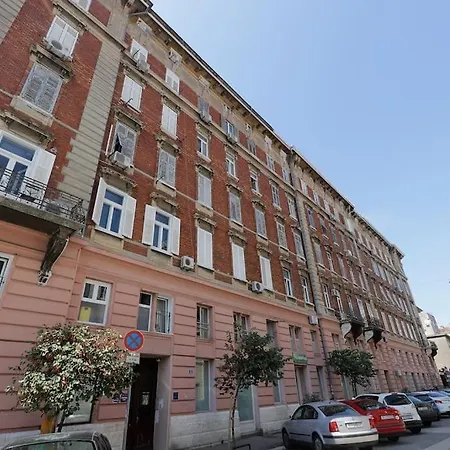 Centrally Located Seagull