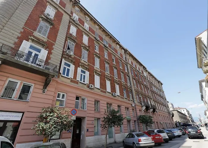 Centrally Located Seagull