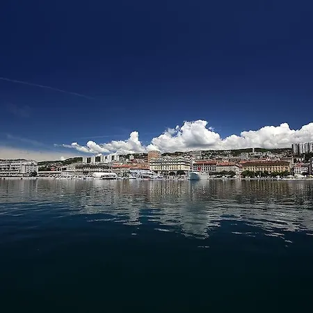 Centrally Located Seagull *