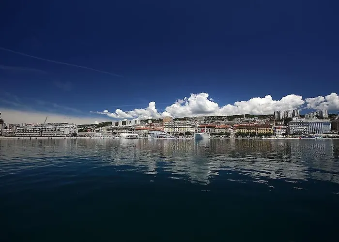 Centrally Located Seagull *